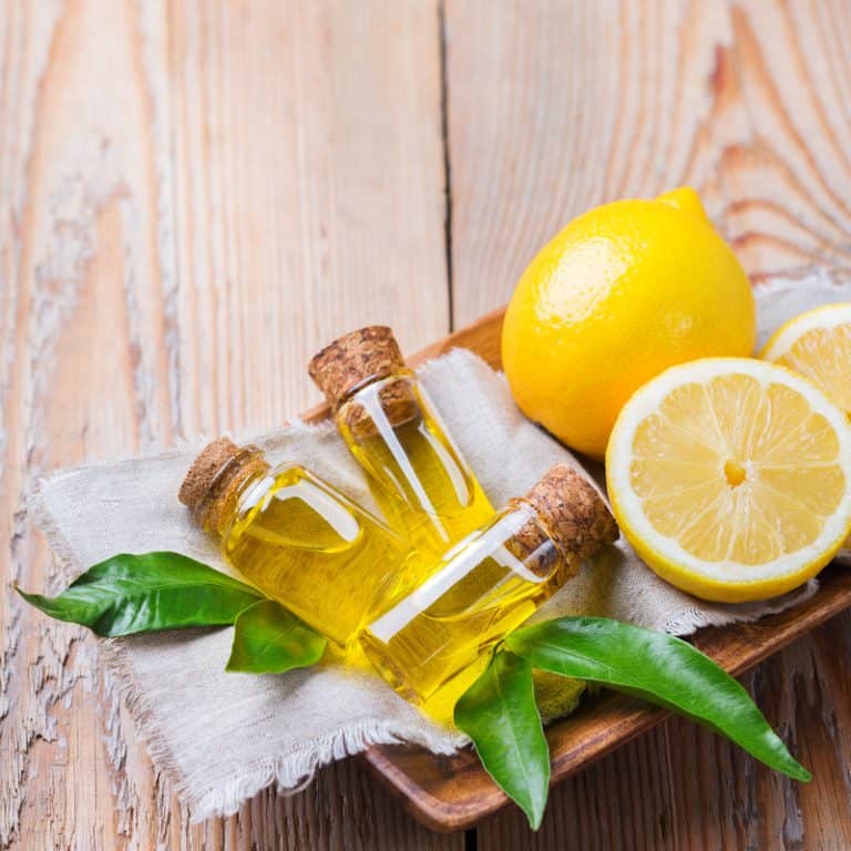 A Beginner’s Guide to Essential Oils What You Should Know