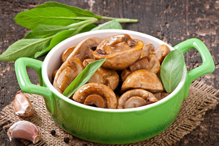 Get The Expert Answer Do Mushrooms Have Protein?