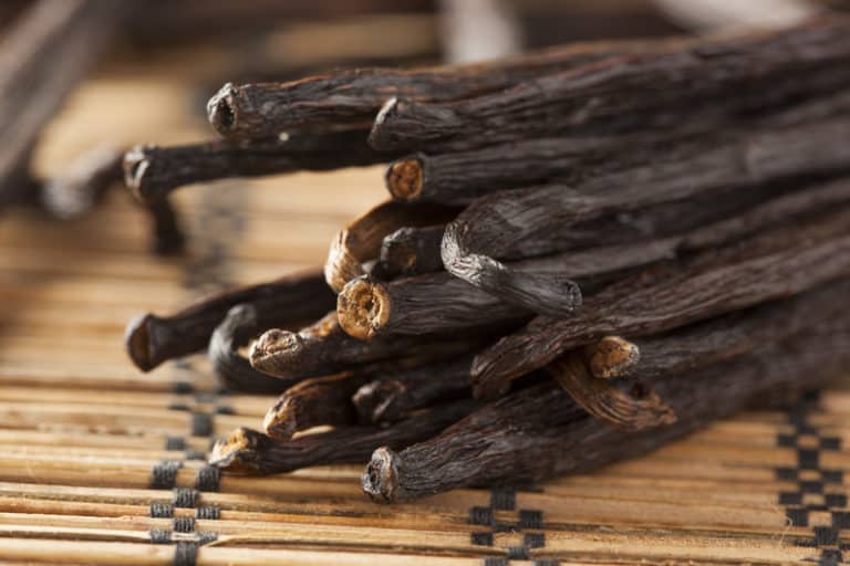 Types of Vanilla Beans What’s the Best For You?