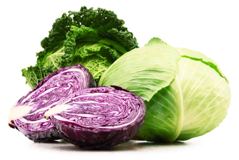13 Types of Cabbages and and Best Cabbage Recipes
