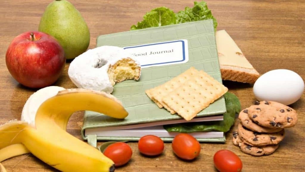 The Best Food Journal for Weight loss in 2021